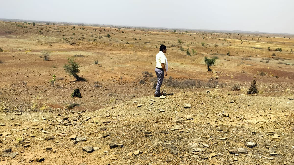 Dry Landscape