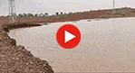 Video of the completed pond